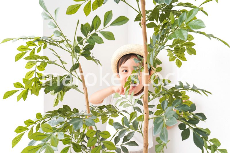 やんちゃな幼稚園児