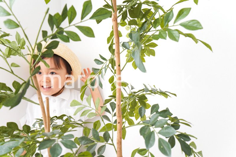 やんちゃな幼稚園児