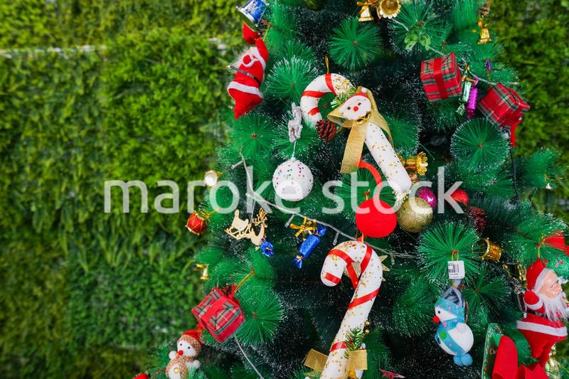 クリスマスツリー