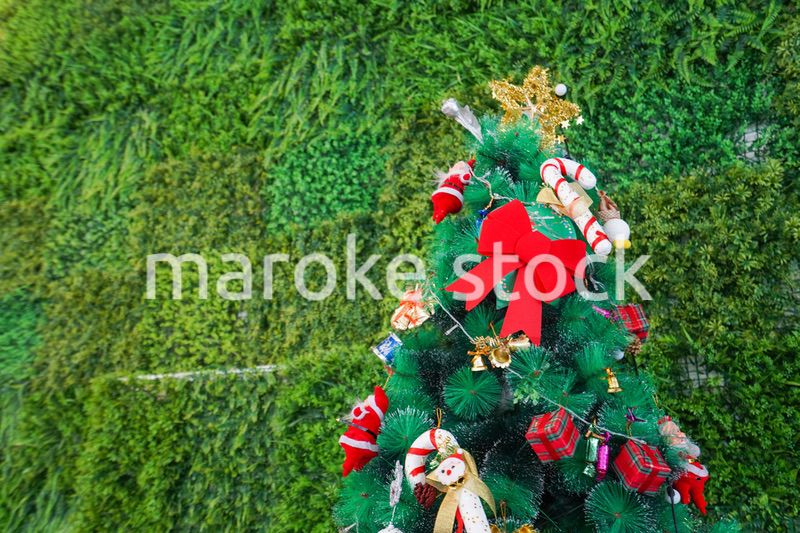 クリスマスツリー