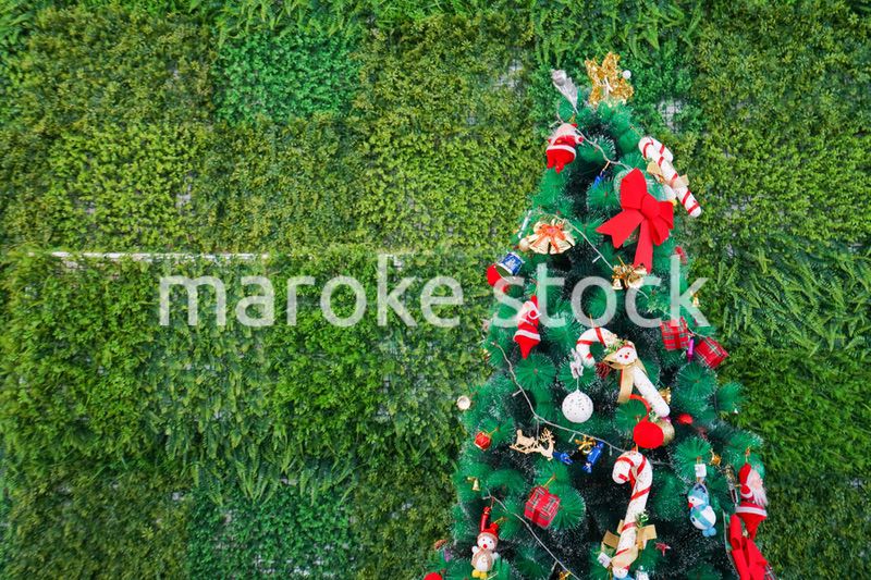 クリスマスツリー