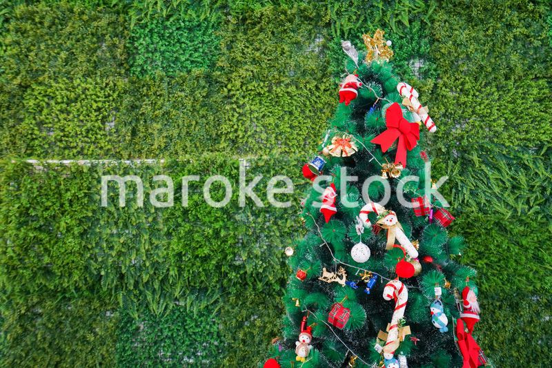 クリスマスツリー