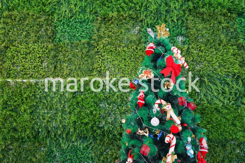 クリスマスツリー