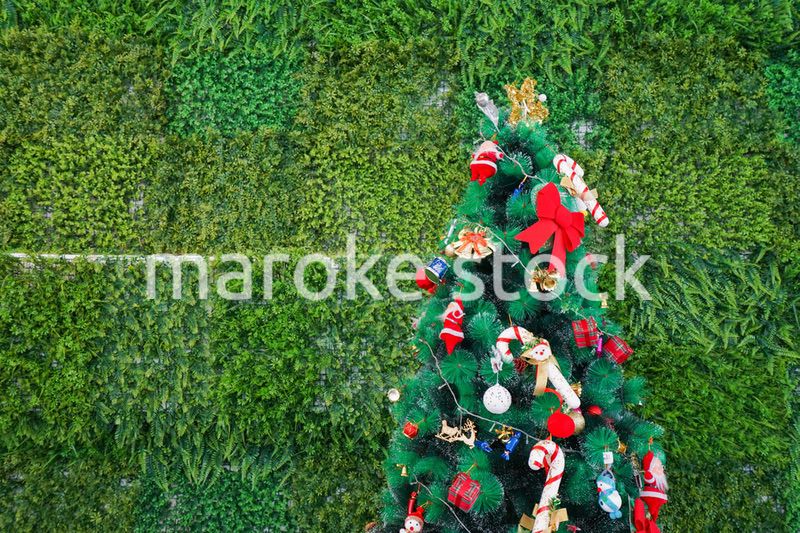 クリスマスツリー