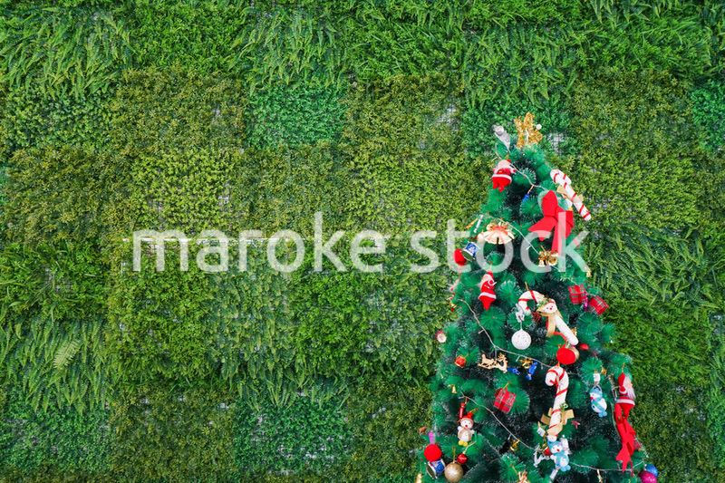 クリスマスツリー