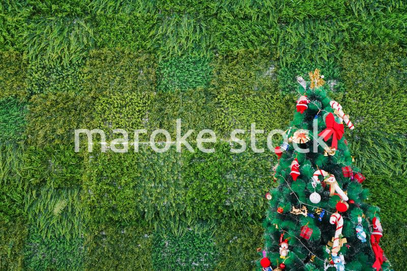 クリスマスツリー