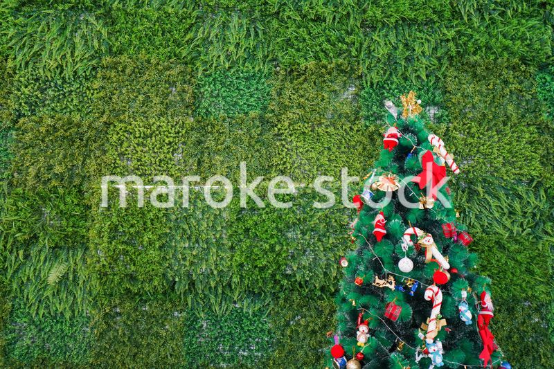 クリスマスツリー