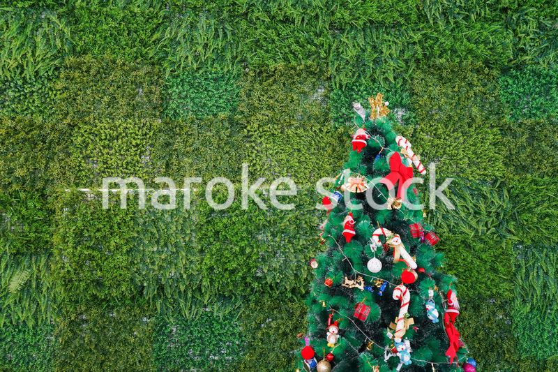 クリスマスツリー