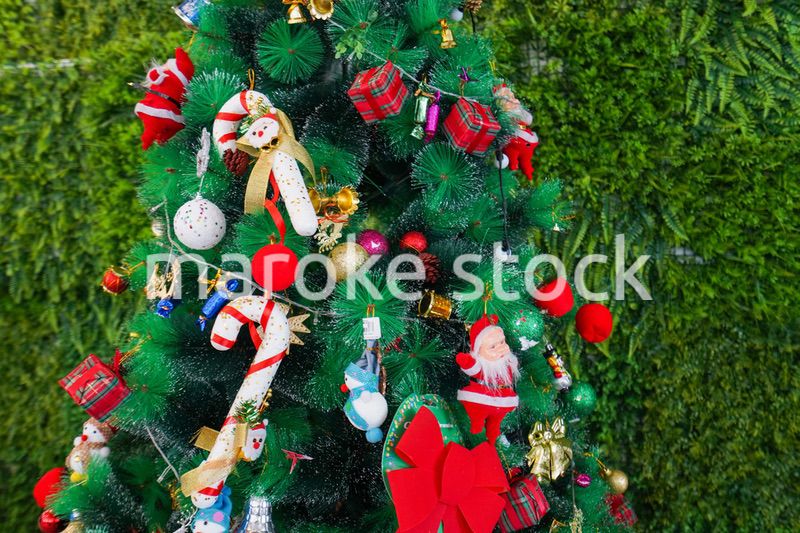 クリスマスツリー