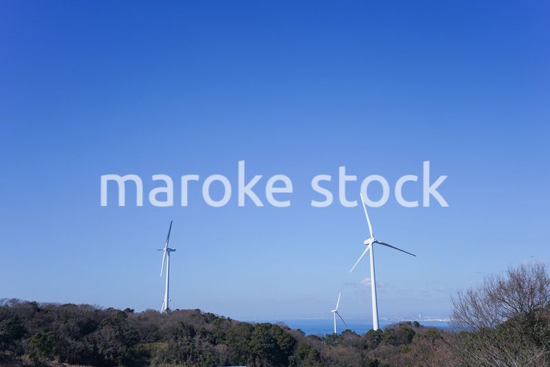 風力発電所