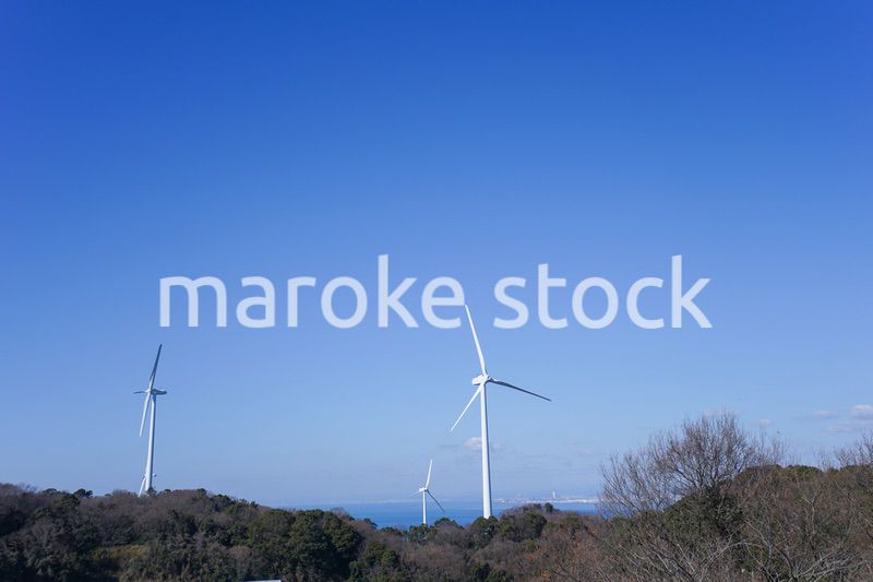 風力発電所