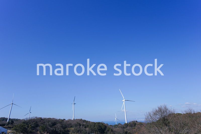 風力発電所