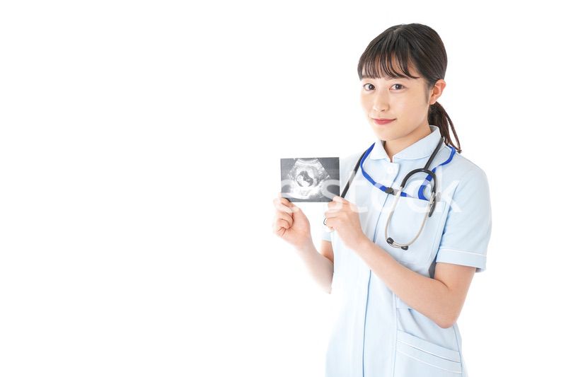 エコー写真を持つ産婦人科のナース
