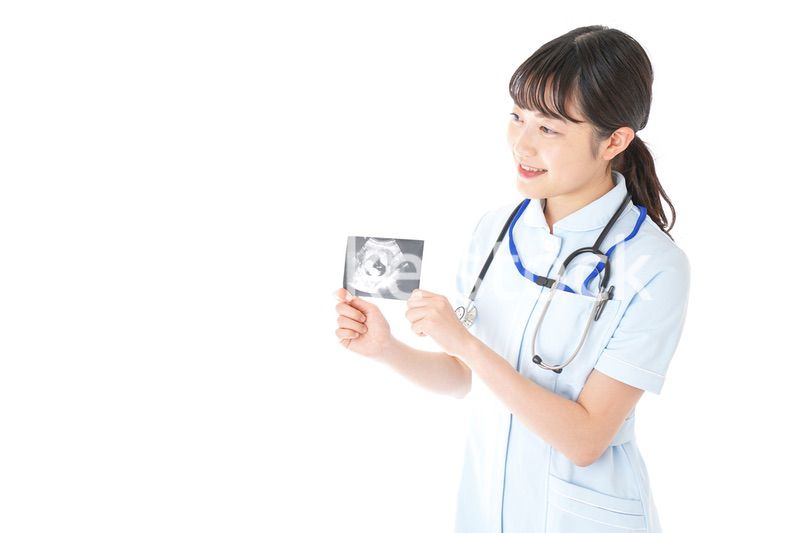 エコー写真を持つ産婦人科のナース