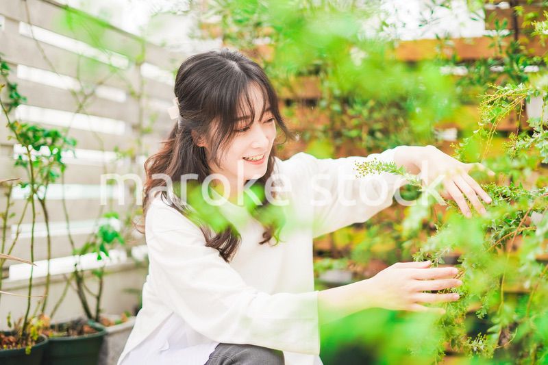 家でガーデニングをする若い女性