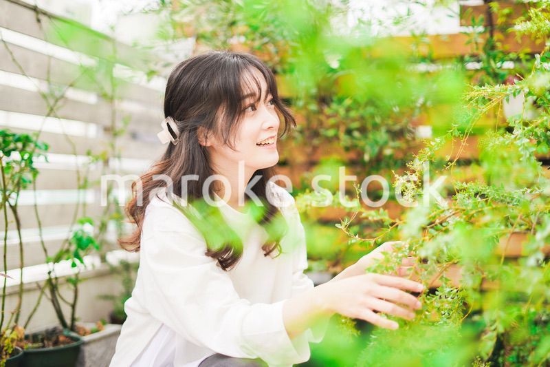 家でガーデニングをする若い女性