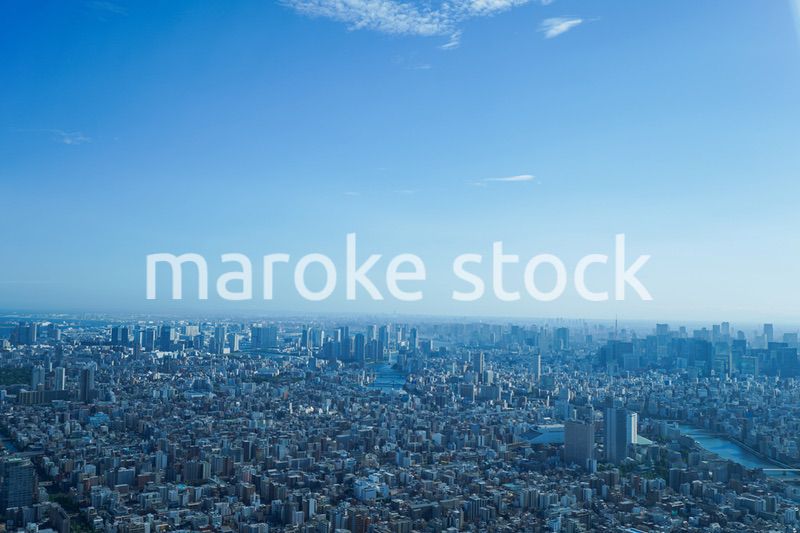 東京の風景・高層ビル群