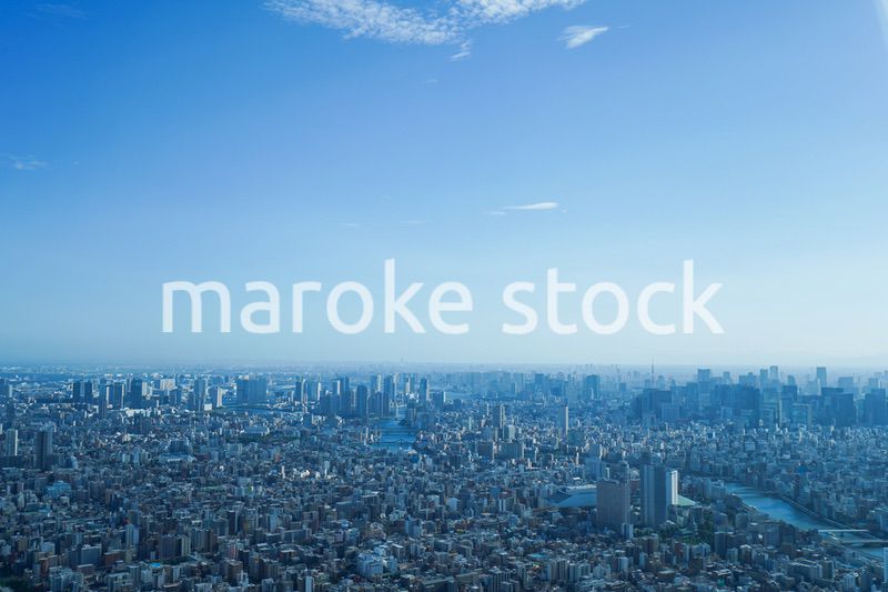 東京の風景・高層ビル群