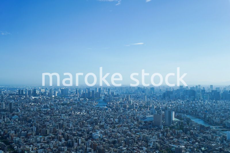 東京の風景・高層ビル群