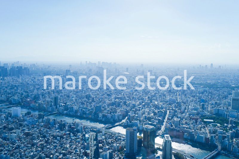 東京の風景・高層ビル群