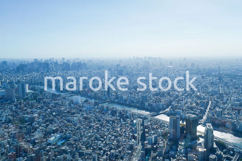 東京の風景・高層ビル群