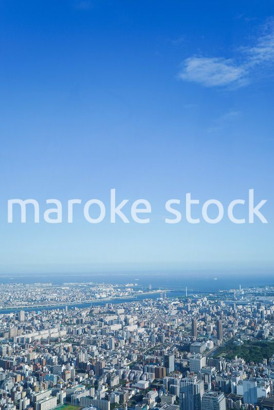 東京の風景・高層ビル群