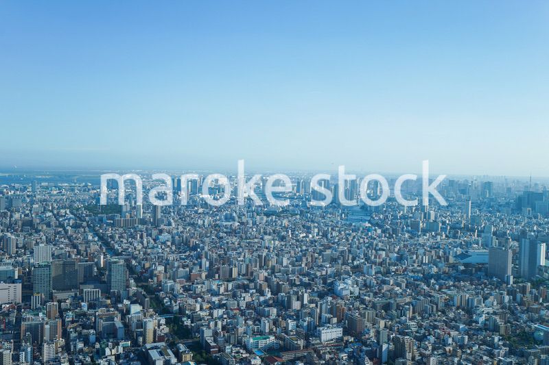 東京の風景・高層ビル群