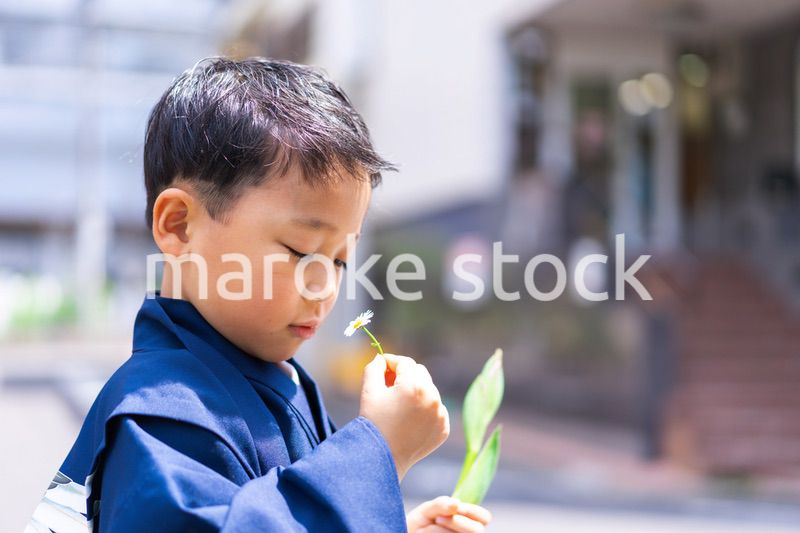 着物を着て外を歩く男の子