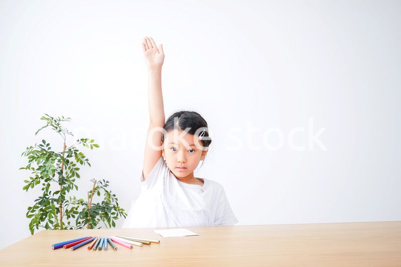 小学生の女の子が手を上げて発表をする