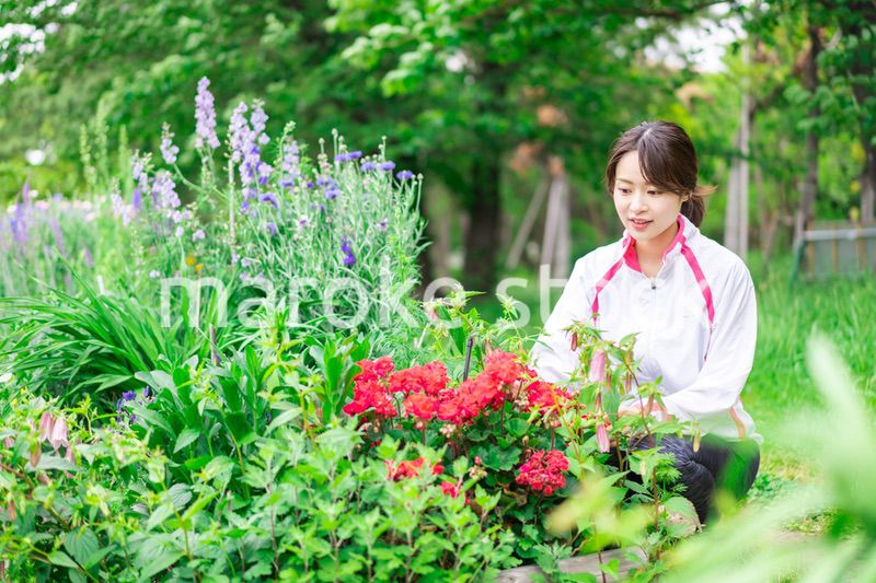 庭で花の世話をする若い女性