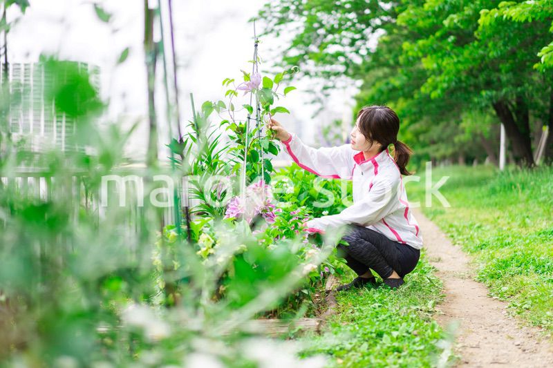 庭で花の世話をする若い女性