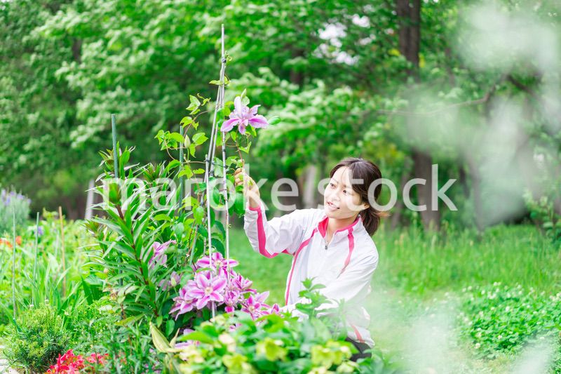 庭で花の世話をする若い女性
