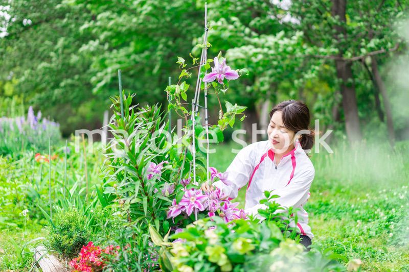 庭で花の世話をする若い女性