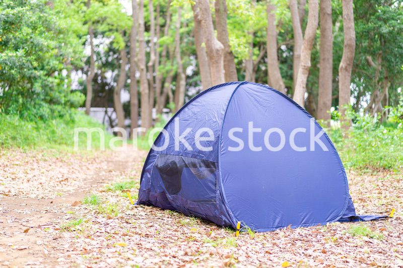 ソロキャンプを楽しむ若い女性