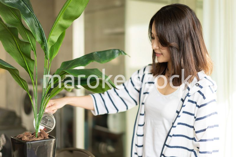 家で花に水をあげる若い女性