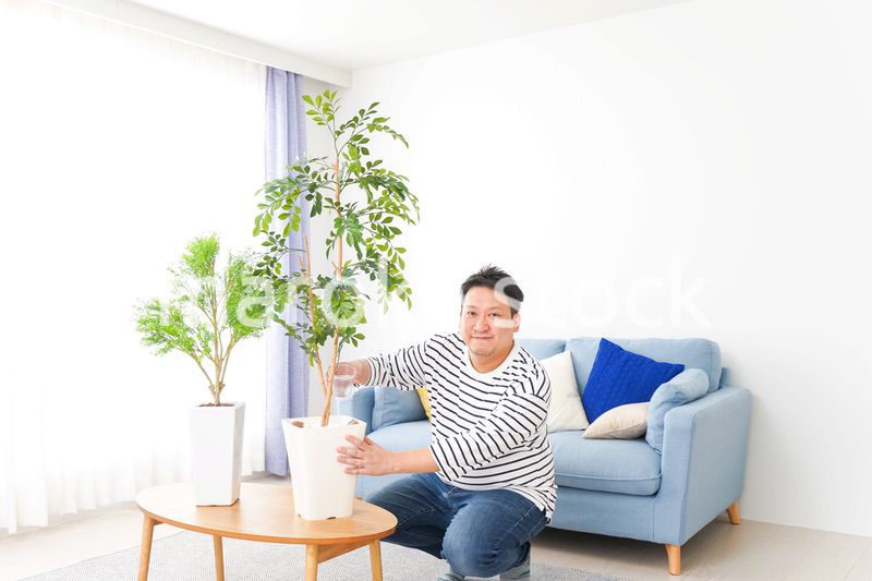自宅で観葉植物を育てる中年の男性