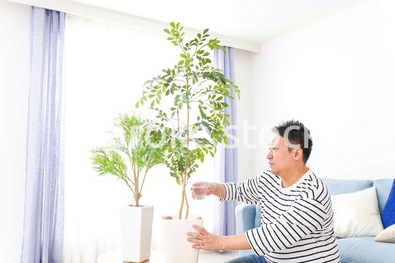 自宅で観葉植物を育てる中年の男性