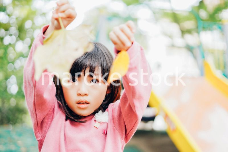 公園で葉っぱで遊ぶ女の子