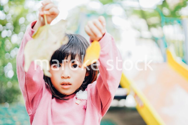 公園で葉っぱで遊ぶ女の子
