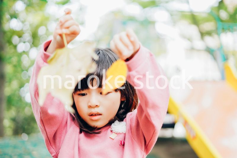 公園で葉っぱで遊ぶ女の子
