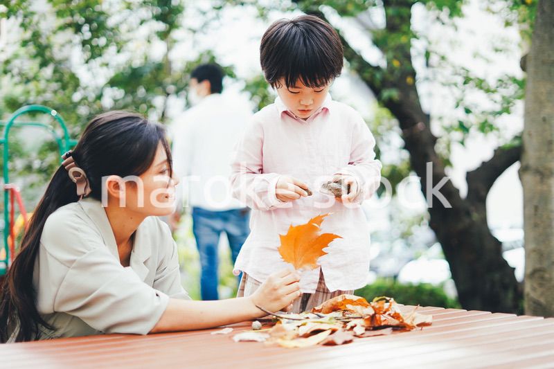 葉っぱで遊ぶお母さんと息子