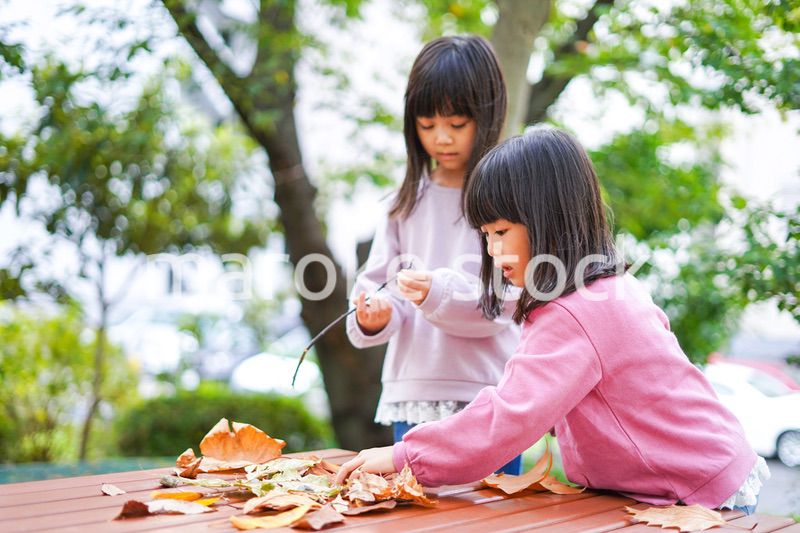 公園で楽しく遊ぶ2人の女の子たち