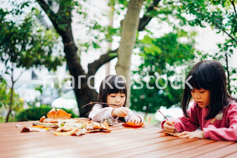 公園で楽しく遊ぶ2人の女の子たち