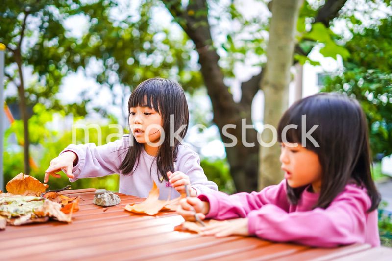 公園で楽しく遊ぶ2人の女の子たち