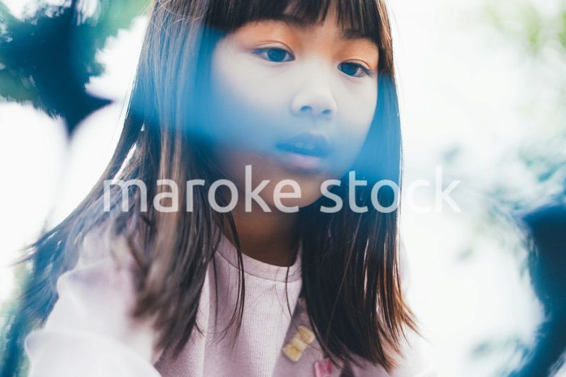 ジャングルジムに登る小さな女の子