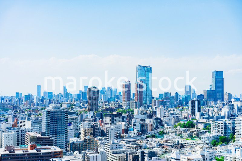 東京の都心風景