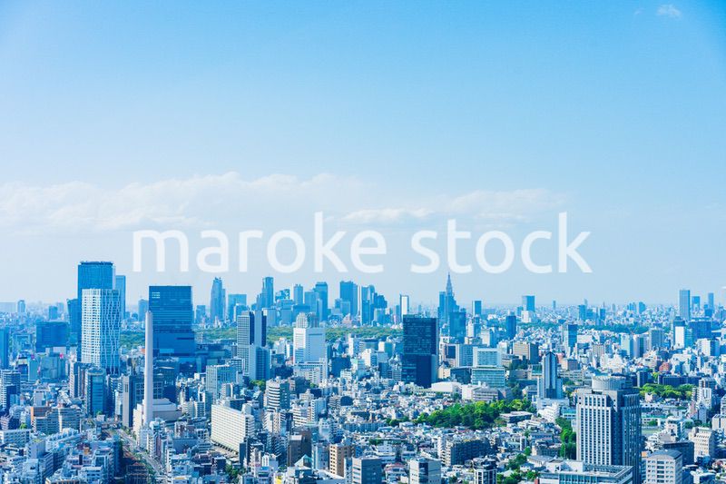 東京の都心風景