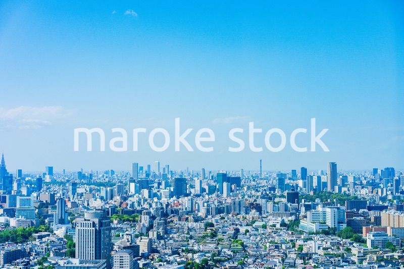 東京の都心風景