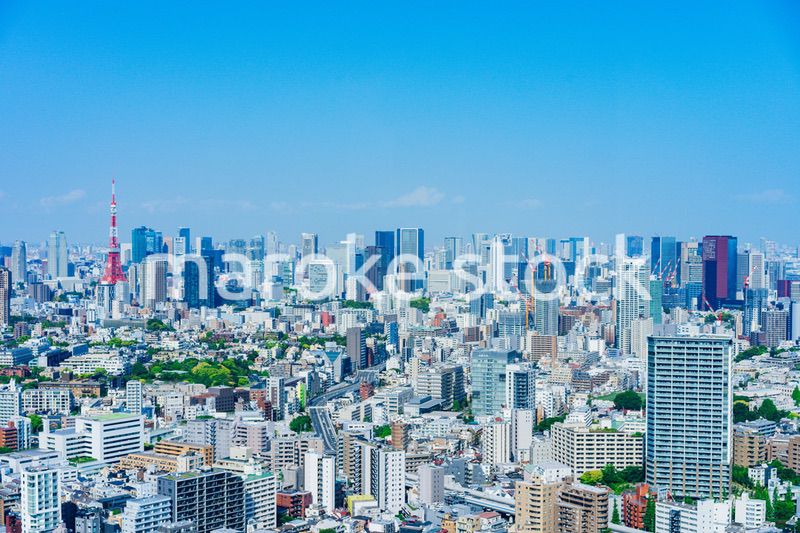 東京の都心風景