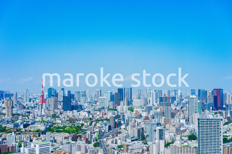 東京の都心風景